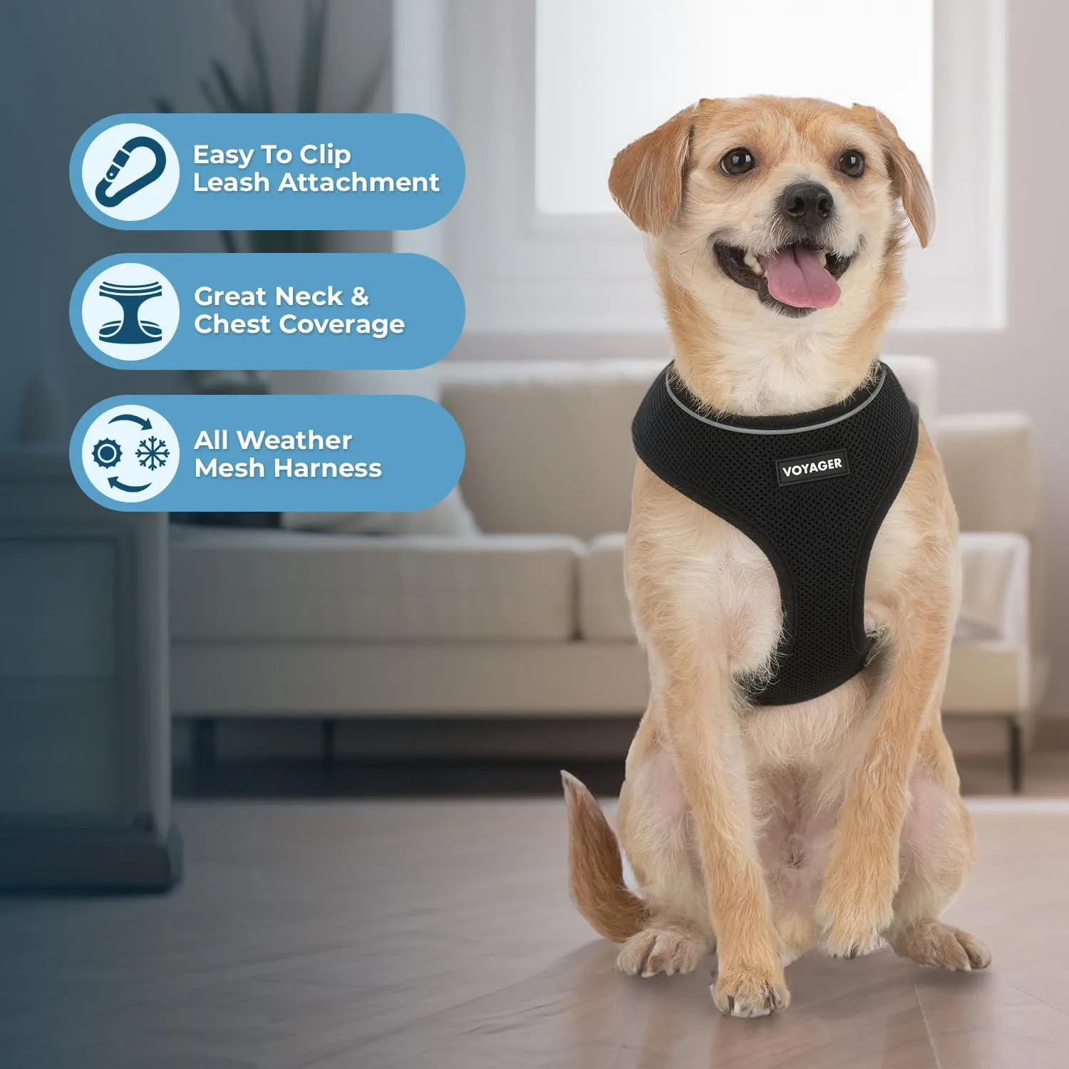 Best Pet Supplies Voyager Aerolite No Pull Mesh Dog Harness, Reflective, Breathable Harness, Adjustable for Walking, Training, Running, Heavy Duty and Durable, 220 Style (Black), M (Chest: 17-21").