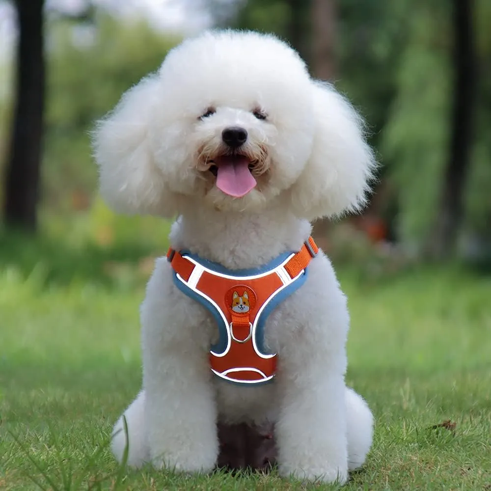 Soft Harness for Dogs,No Pull Dog Harness and Lead Set, Puppy Cat Step in Vest Harness Leash, with Reflective Strips, for Small or Medium and Large Size Dog
