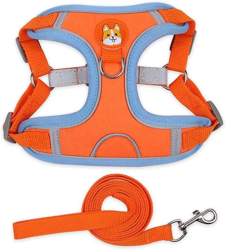 Soft Harness for Dogs,No Pull Dog Harness and Lead Set, Puppy Cat Step in Vest Harness Leash, with Reflective Strips, for Small or Medium and Large Size Dog
