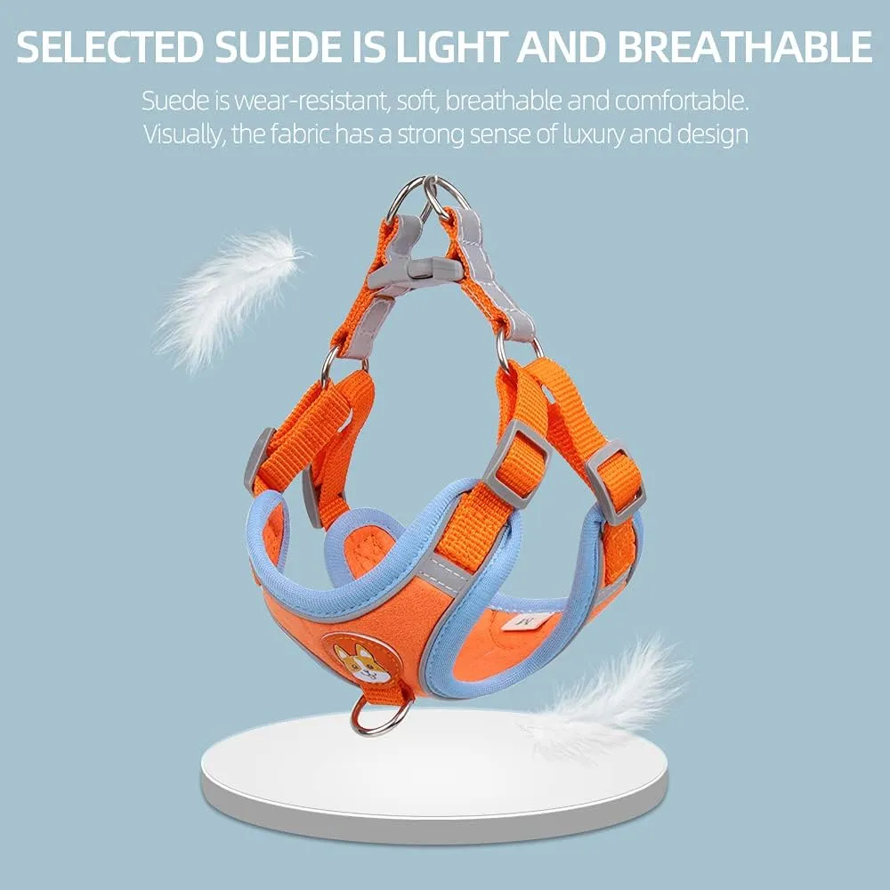 Soft Harness for Dogs,No Pull Dog Harness and Lead Set, Puppy Cat Step in Vest Harness Leash, with Reflective Strips, for Small or Medium and Large Size Dog
