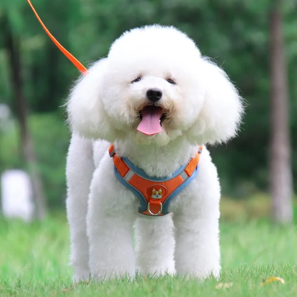Soft Harness for Dogs,No Pull Dog Harness and Lead Set, Puppy Cat Step in Vest Harness Leash, with Reflective Strips, for Small or Medium and Large Size Dog