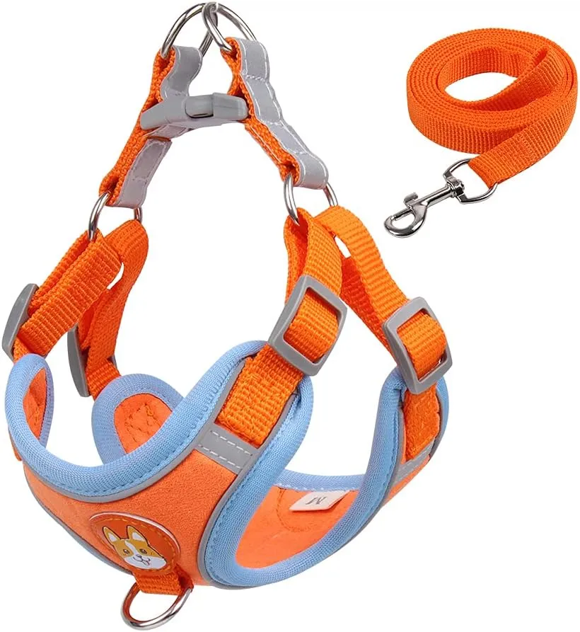 Soft Harness for Dogs,No Pull Dog Harness and Lead Set, Puppy Cat Step in Vest Harness Leash, with Reflective Strips, for Small or Medium and Large Size Dog