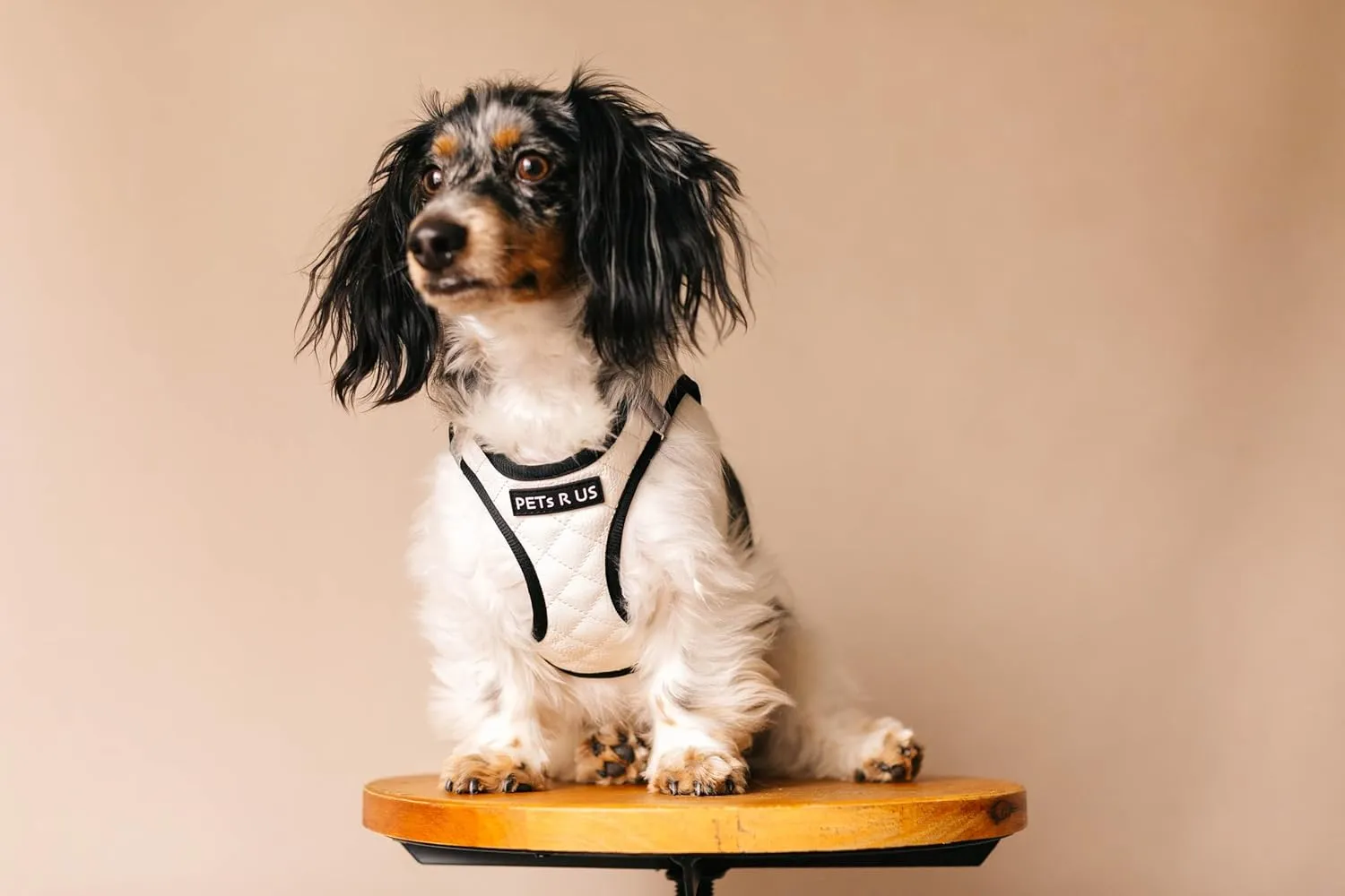 Step-in Dog Vest Harness Classic Quilted Design Vegan Leather Reflective Lightweight Breathable Mesh Soft White Black Durable Stylish Pet Accessory (White, XS: Neck=8.6-11''/Chest=13-14.5'')