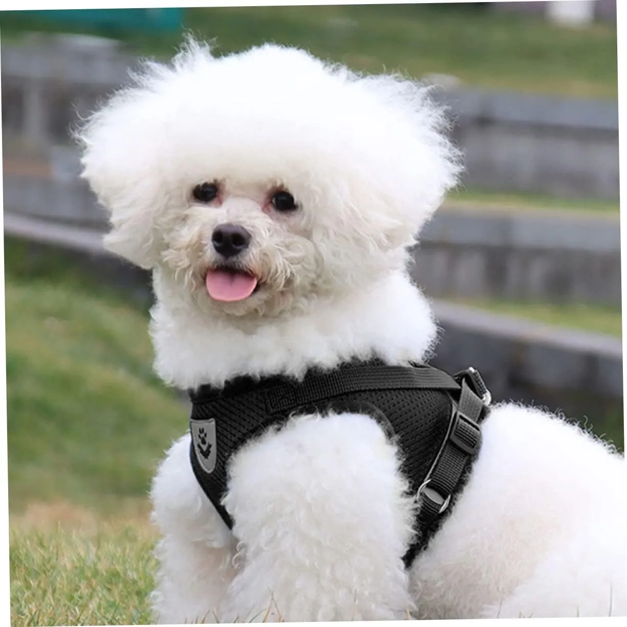 Sticky Harness Leash for Dog Reflective Medium Size Non-Slip Pulling Rope