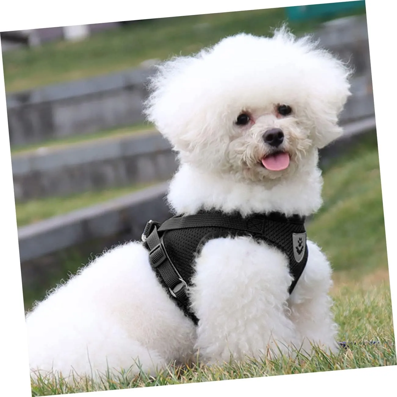 Sticky Harness Leash for Dog Reflective Medium Size Non-Slip Pulling Rope